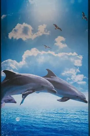 Hostel Tabist Sparkling Dolphins Inn Kyoto Japan